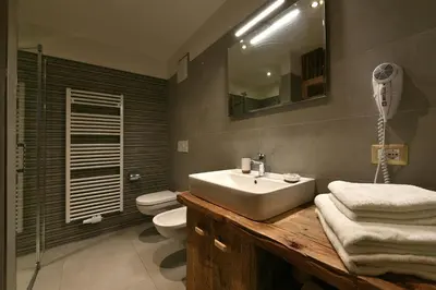 a bathroom with a sink and a toilet and a mirror at Agriturismo Soleseid in San Vigilio Di Marebbe