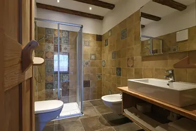a bathroom with a sink and a toilet and a shower at Agriturismo Soleseid in San Vigilio Di Marebbe