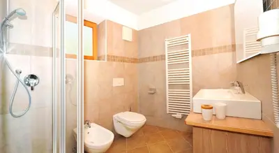 a bathroom with a shower and a toilet and a sink at Agriturismo Soleseid in San Vigilio Di Marebbe
