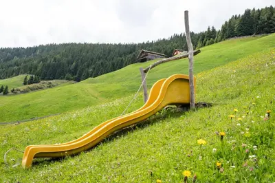 a yellow slide on a hill in a field at Messnerhof, Durnholz in Valdurna
