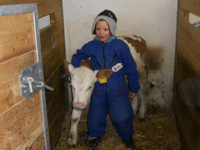 a young boy is standing next to a cow at Pinterhof in San Vigilio Di Marebbe