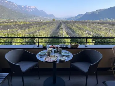 a table on a balcony with a view of a vineyard at Pomaria in Caldaro
