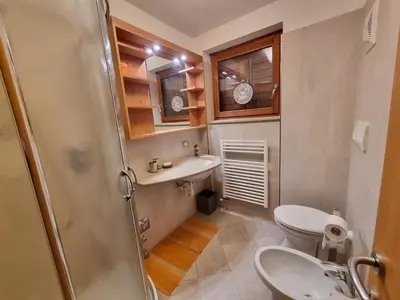 a small bathroom with a sink and a toilet at Col Rodella - Canazei in Canazei