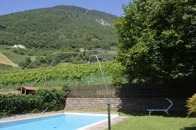 a swimming pool with a water fountain in a yard at Ferienwohnung Winklerhof in Lana