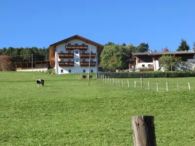a cow standing in a field in front of a house at Parleitnerhof Ferienwohnung Abendrot in Mühlbach