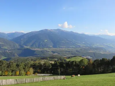 two cows grazing in a field with mountains in the background at Parleitnerhof Ferienwohnung Abendrot in Mühlbach