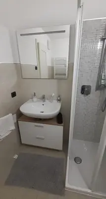 a bathroom with a sink and a mirror and a shower at Alessio House in Pozza di Fassa