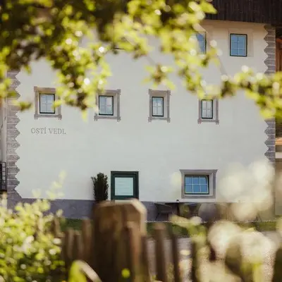 a white building with windows on the side of it at Ostí Vedl in San Martino in Badia
