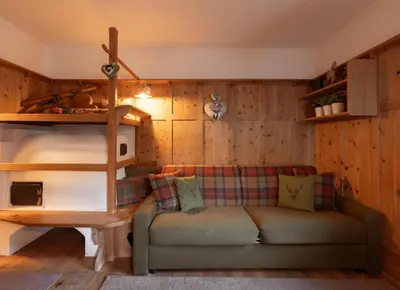 a living room with a couch and a wooden wall at Apartments Mauriz in Selva di Val Gardena