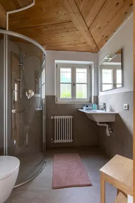 a bathroom with a shower and a toilet and a sink at KARINA Mulino in Montagna