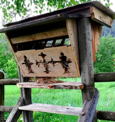 a wooden bird house with four birds in it at Casa Amabile in San Vito di Cadore