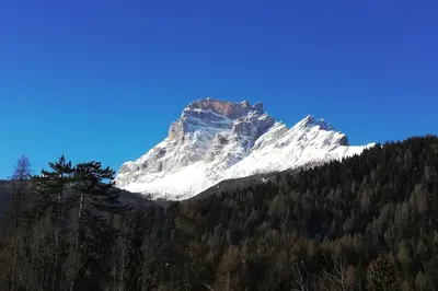 a snow covered mountain in the middle of a forest at Casa Amabile in San Vito di Cadore