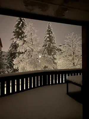 a window with two trees covered in snow at Appartamento con terrazza vista Pale di San Martino in San Martino di Castrozza