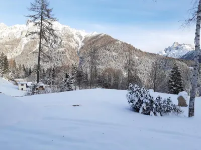 a snow covered field with trees and mountains at Locanda Val Canali in Siror