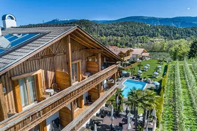 an aerial view of a house with a pool and a vineyard at Hotel Schallerhof in Tesimo