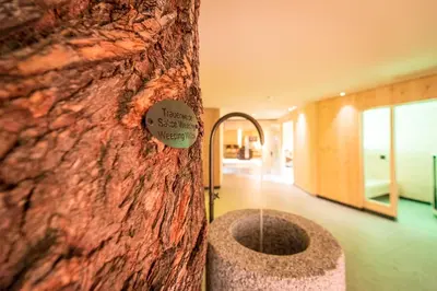 a tree with a sign on the side of it at Hotel Mühlenerhof in Campo Tures