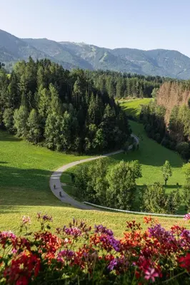 a winding road in the middle of a field with flowers at App Mittermairhof in Riscone