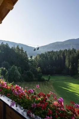 a view from the balcony of a house with flowers at App Mittermairhof in Riscone