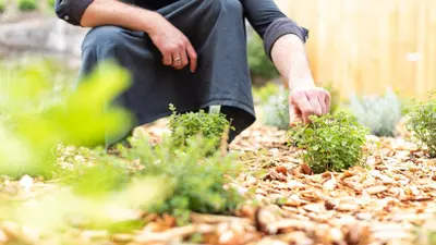 a person sitting on the ground in a garden at Ladurner in Lagundo