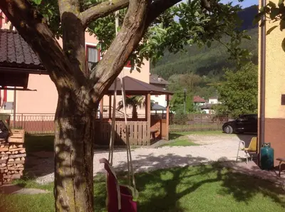a tree with a swing in front of a house at Casa Berlanda in Fiera di Primiero