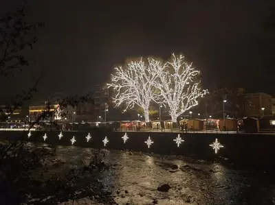a group of trees lit up at night at Apartment Anna in Merano