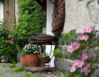 a window with a chair and some plants and flowers at APARTMENT im garten 9 in Gargazzone