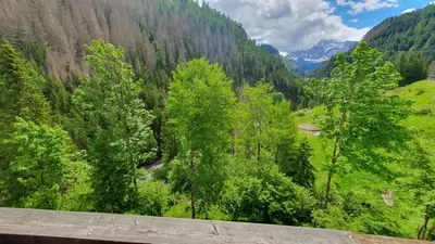 a view of a valley with trees and mountains at Appartamenti Nonno Gianni in Rocca Pietore