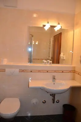 a bathroom with a sink and a toilet and a mirror at Hotel Greifenstein in Terlano