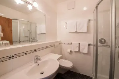 a bathroom with a sink and a toilet and a shower at Hotel Greifenstein in Terlano