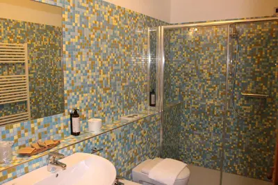 a bathroom with a shower and a sink and a toilet at Ciasa Vervei in Cortina dʼAmpezzo
