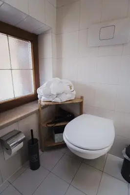 a bathroom with a white toilet and a window at Töllhof Studio Stube in Bressanone
