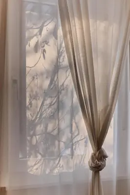 a curtain in front of a window with a tree at Villa Ginestra - 1 in Moena