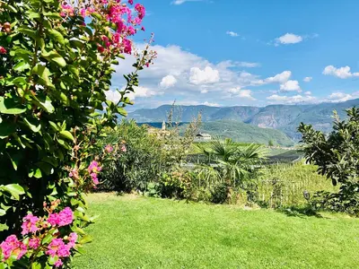 a garden with pink flowers and mountains in the background at Weitblick Apartment mit Garten in Castelvecchio