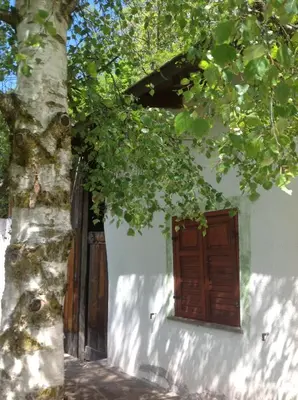 a window in a white building next to a tree at Baita cavalese giardino esclusivo in Cavalese