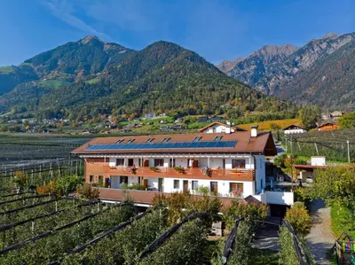 a house in a vineyard with mountains in the background at Schattmair Hof in Tirolo