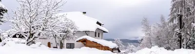 a house covered in snow with trees at Residence Lärchenhäusl in Soprabolzano