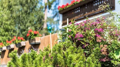 a garden with flowers on a wooden fence at Residence Lärchenhäusl in Soprabolzano