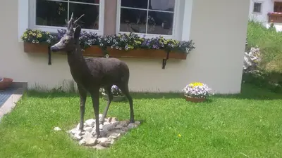 a statue of a deer in the yard of a house at Garni La Majon in Selva di Val Gardena