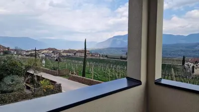 a view of a vineyard from a window in a building at Haus Bonell in Pianizza di Sopra