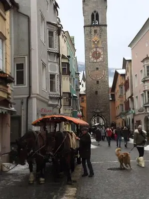 a horse drawn carriage on a city street at BIS Vipiteno in Vipiteno
