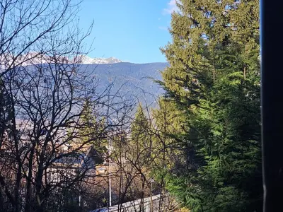 a view of a mountain from between two trees at Resort CuraLibera in Ronzone