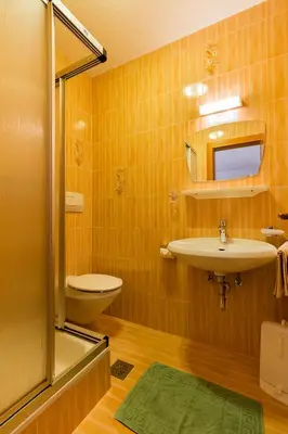 a bathroom with a sink and a toilet and a shower at Garni Bergland in Racines