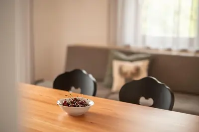 a kitchen counter with a sink and a plant on it at Oberschoeberlehof in Merano