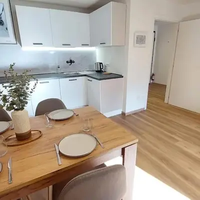 Renovated flat close to the centre