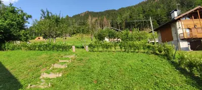 a garden in front of a house in a field at A&J House in Canale San Bovo