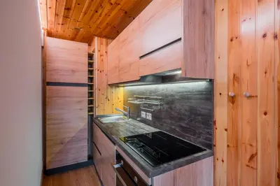 a kitchen with wooden walls and a stove top oven at Ciasa de Sèn Jan in Pozza di Fassa