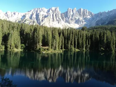 a lake with trees and mountains in the background at Apartment Welscher in Nova Levante