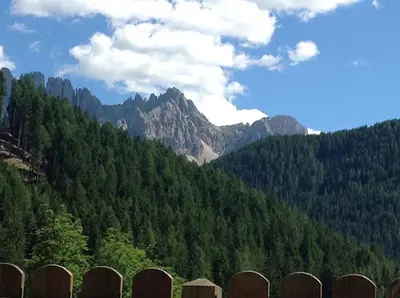 a fence in front of a mountain with trees at Apartment Welscher in Nova Levante