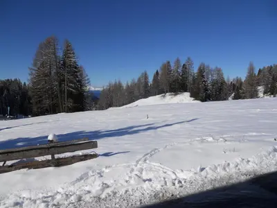 a snow covered slope with a bench and trees at Villa Tamion in Vigo di Fassa