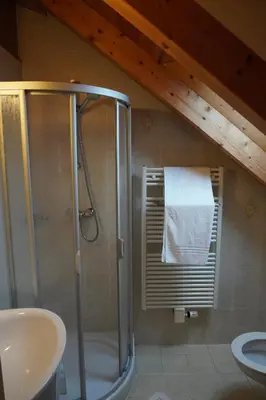 a bathroom with a shower and a sink at Pension Peintner in Gais